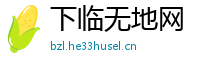下临无地网
